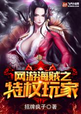 网游海贼之特权玩家