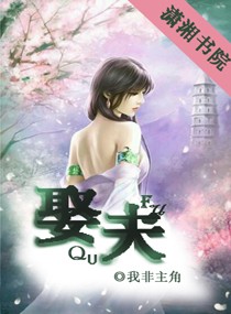 娶夫,夫人太花心