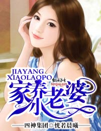 四神集团④·家养小老婆