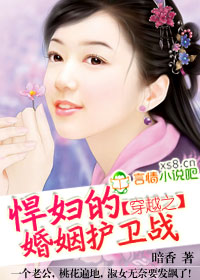 穿越之悍妇的婚姻护卫战